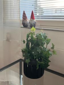 Beautiful studio with balcony near Old Rauma