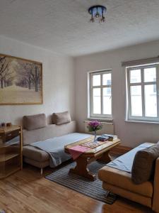 Gemütliche zentrale Wohnung