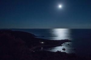 Molo Trovna Apartments