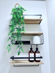 Casa Olivia - SMDC Studio with Balcony Back of SM City IloIlo