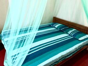 Juno Homestay