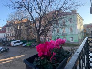 Royal Kamianets Apartment , центр Старого міста , 100м до Ратуші , вид на сквер та історичний центр