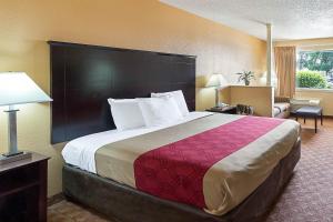King Suite - Non-Smoking room in Econolodge Inn & Suites Downtown Northeast