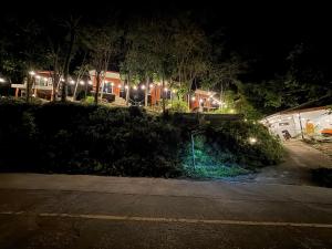 Mangrove bungalow & restaurant