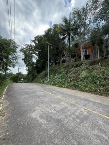 Mangrove bungalow & restaurant