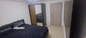 Apartament Targul de Crăciun Craiova