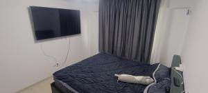 Apartament Targul de Crăciun Craiova