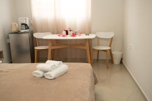 Anesis Airport rooms 102