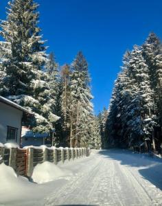 5th Forest Villa – Family Retreat, Garden & BBQ