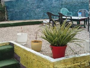 The Eleventh homestay