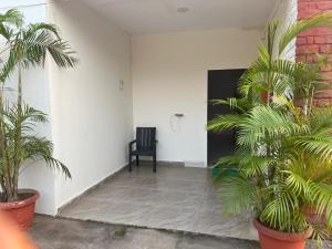 Patanjali Navik Wellness Khajuraho