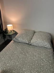 Studio - Museum of Fine Arts