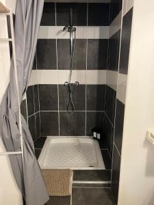 Studio - Museum of Fine Arts