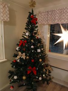 Lapland winter house