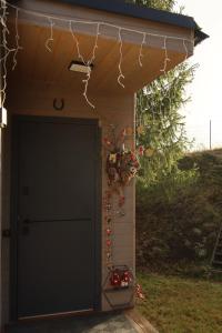 Debri family Ворохта