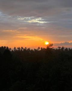 Beach Paddy View Villa