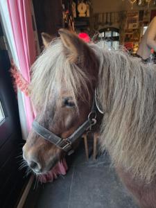 Op vakantie bij Nicole