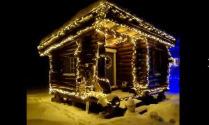 Cozy little log cabin, dog allowed, sauna