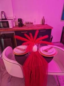 Love Room & Jacuzzi à Arles - Spécial Saint-Valentin