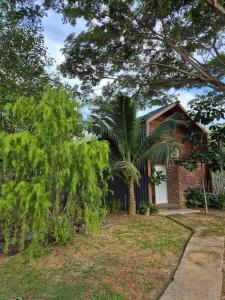 Api-api Eco Chalet