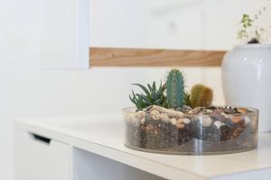 Art Wine Loft with oPorto view!