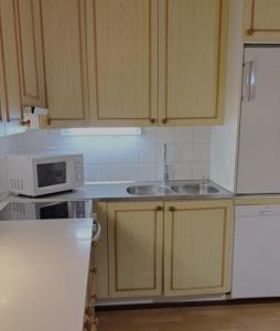 Cozy and Newly Renovated, Single-Level Apartment in Levi