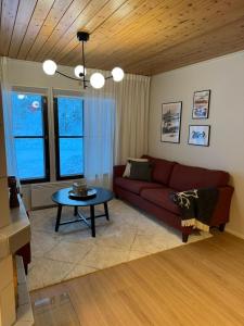 Cozy and Newly Renovated, Single-Level Apartment in Levi