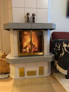 Cozy and Newly Renovated, Single-Level Apartment in Levi