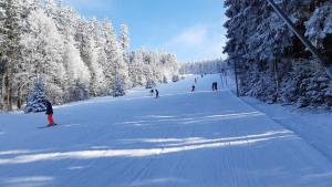 Penzion pod Čeřinkem