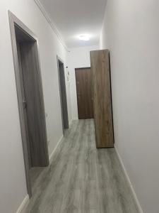 Two modern apartments