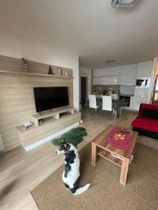 Apartmán Ulla pod Chopkom