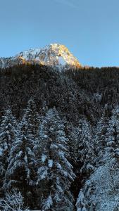 BROWN DOLOMYTE Apartment