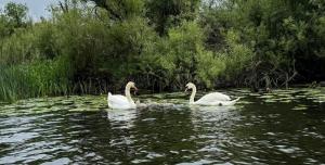 Waterside Studio Sanctuary