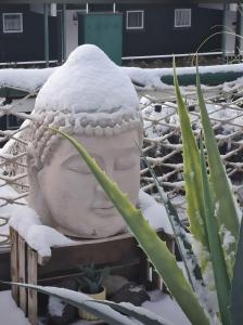 Schwarzwaldloge Zeitlos