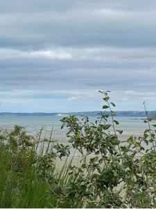 Cabane front de mer