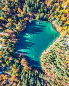 La Tanière des Cimes, sauna privé