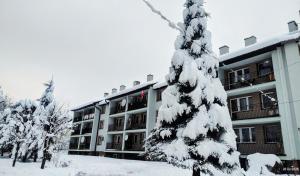 Bieszczady Apartament Gniazdo Baligród