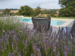 Gîte cosy en pleine nature à Grazac