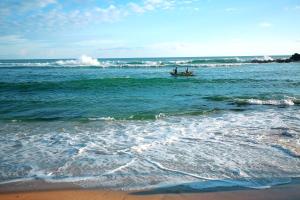 White Lion Paradise Dikwella