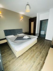 Silver Mountain C24 Royal