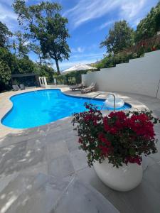 Stylish 2 Bedroom Cottage - Vineyard Views & Stunningly beautiful surroundings