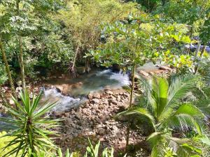 Toucan River Paradise - River access