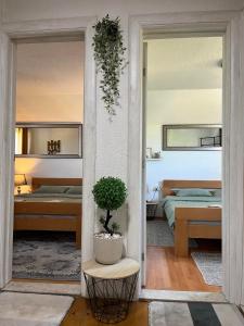 Apartments Baron Žabljak