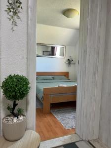 Apartments Baron Žabljak