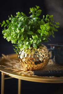 SkyTravel 77 Apartament Pileckiego Nowy Dwór Mazowiecki Airport Modlin 24H