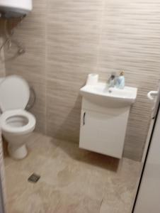 Стая ириче 2