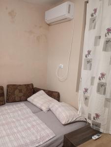 Стая ириче 2