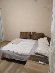 Стая ириче 2