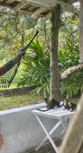 Casa Manu Trancoso Bahia Brasil