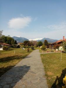 Olympos House